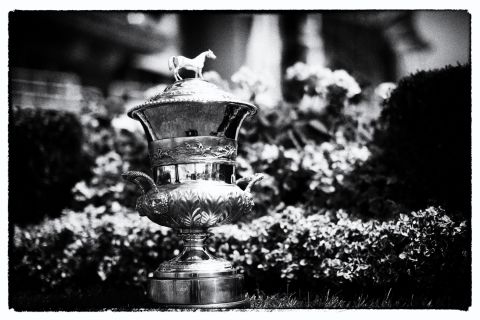 My Dream Boat is pictured winning the Prince of Wales's Stakes, scooping this trophy and a $1 million prize. The race was created in honor of Prince Albert in 1862. 