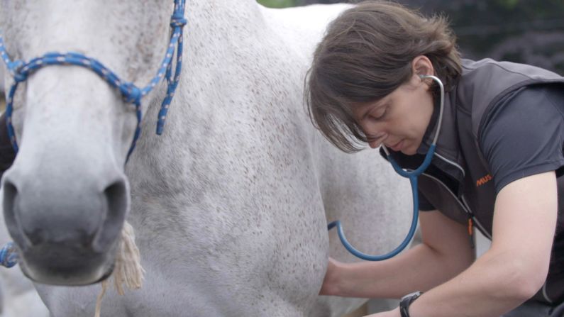 The racers and horses are all timed, but the latter must make two quick veterinary checks during the race to avoid exhaustion.