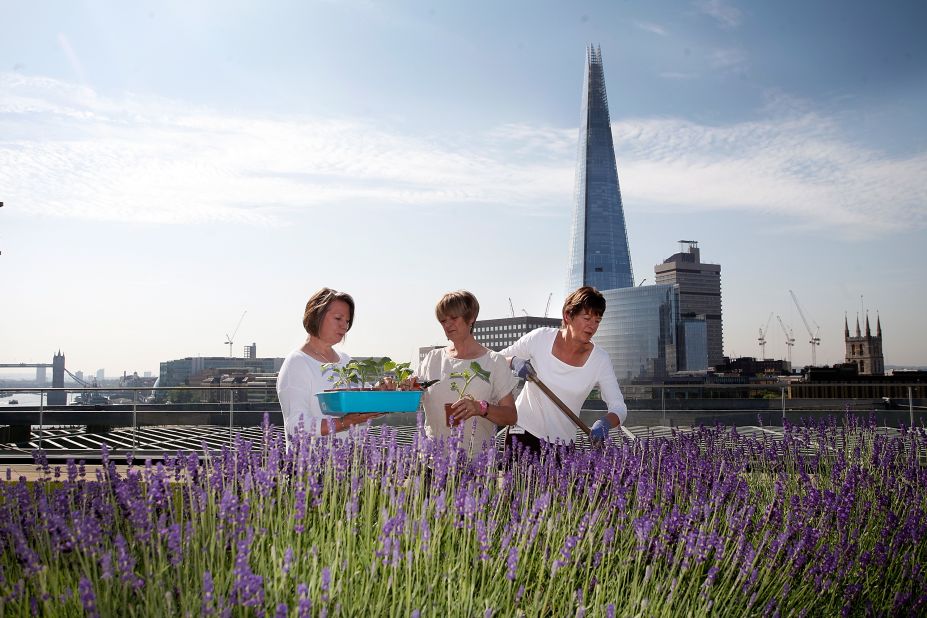 A more modern take on green roofs can be found atop the Numura building in the City of London. The Japanese investment bank's  private rooftop gardens include a terrace  with panoramic views across the River Thames.