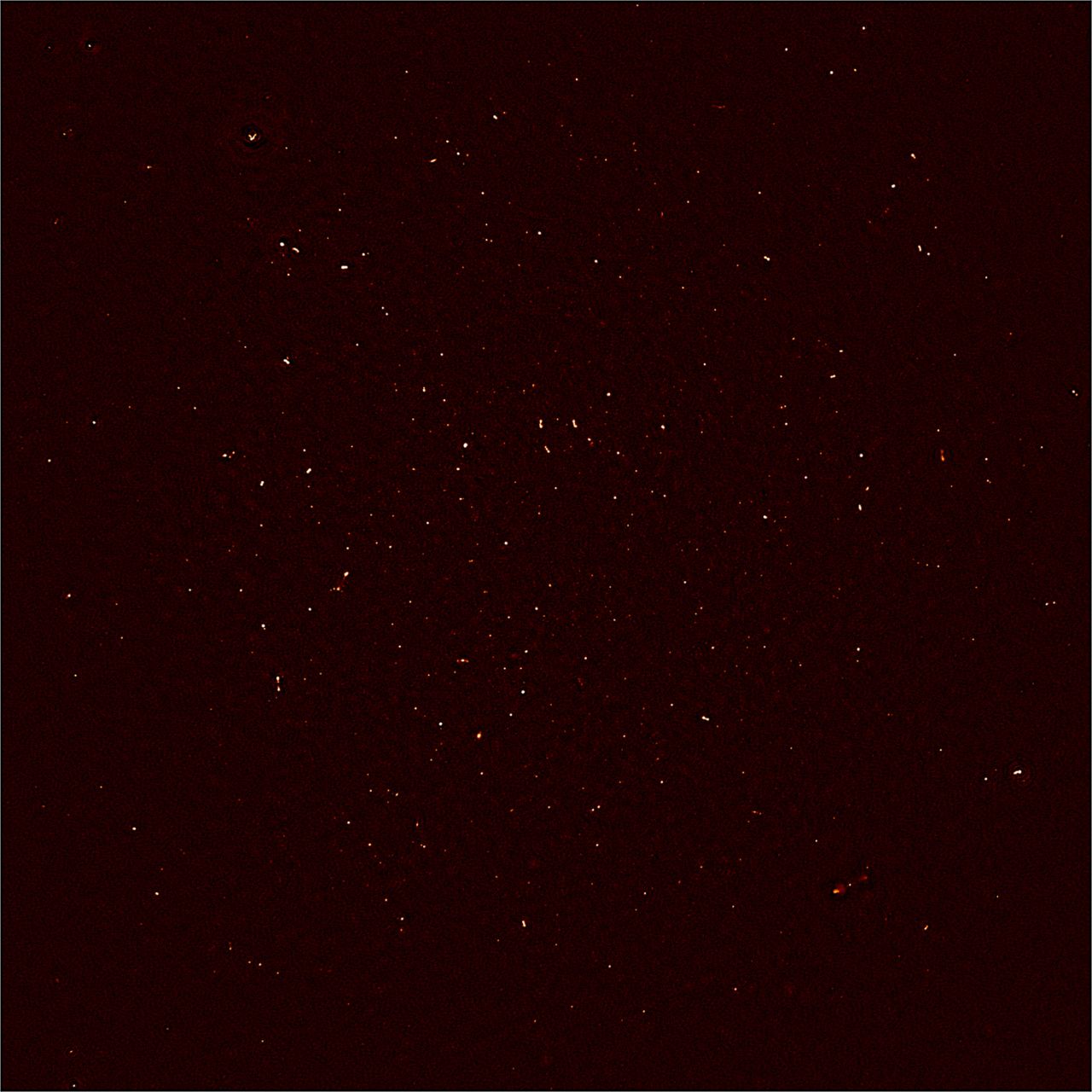 MeerKAT's First Light image. Each white dot represents the intensity of radio waves recorded with 16 dishes of the MeerKAT telescope in the Karoo desert. <br /><br />More than 1,300 individual objects - galaxies in the distant universe - are seen in this image.