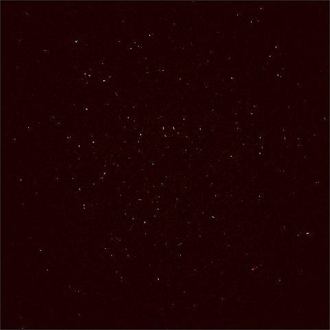 MeerKAT's First Light image. Each white dot represents the intensity of radio waves recorded with 16 dishes of the MeerKAT telescope in the Karoo desert. </p><p>More than 1,300 individual objects - galaxies in the distant universe - are seen in this image.