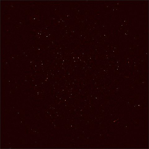 MeerKAT's First Light image. Each white dot represents the intensity of radio waves recorded with 16 dishes of the MeerKAT telescope in the Karoo desert. </p><p>More than 1,300 individual objects - galaxies in the distant universe - are seen in this image.