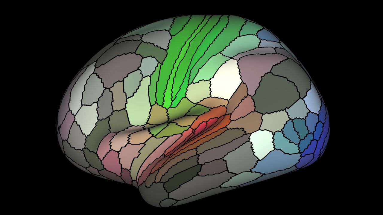Image shows a map of myelin content (red, yellow are high myelin; indigo and blue are low myelin) in the left hemisphere of cerebral cortex. 