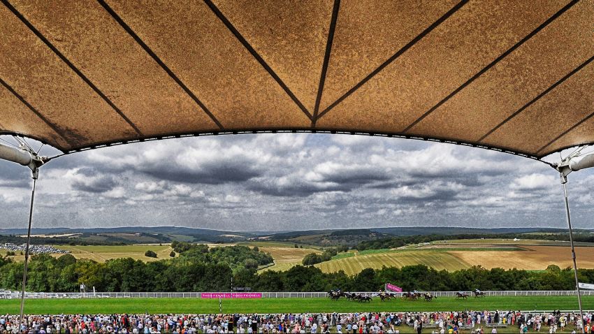 CHICHESTER, ENGLAND - JULY 31: (EDITORS NOTE: This images was processed using digital filters) A general view as runner make their way past the Sussex Stand at Goodwood racecourse on July 31, 2014 in Chichester, England. (Photo by Alan Crowhurst/Getty Images)