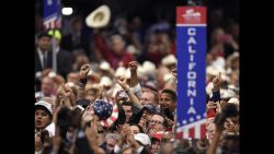 Delegates cheer during the roll call vote on the second day of the Republican National Convention in Cleveland, Tuesday, July 19, 2016.