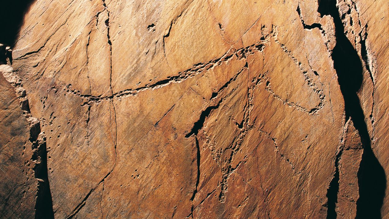 Thousands of ancient carvings -- deer, goats, horses, horned aurochs (ancient cattle) -- dating back 30,000 years were discovered at the joint of Cao Valley and the Douro. It could be mankind's oldest graffiti.