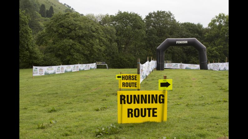 The finish line is split in two, segregated by species. In 2016, a horse came in first place, as usual.