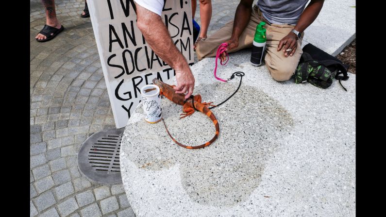 A lizard on a leash in Public Square.