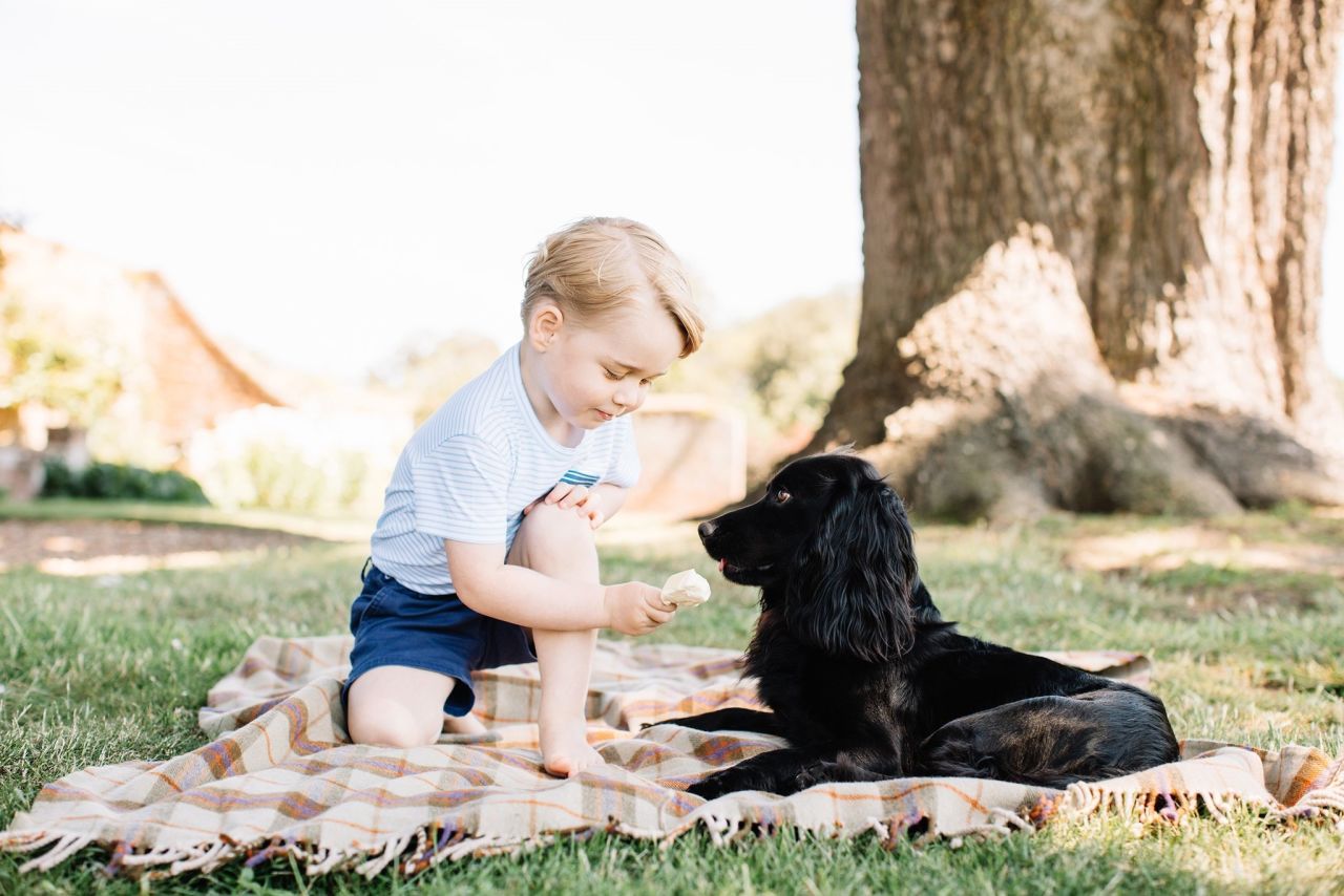 The Duke and Duchess of Cambridge released new photos of Prince George to mark his third birthday in July 2016. Here he plays with the family's pet dog, Lupo.
