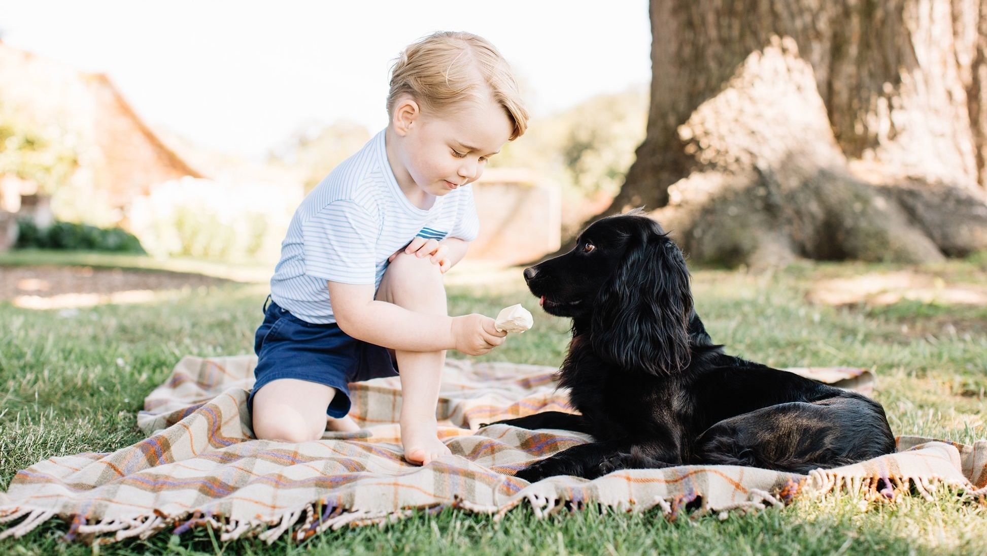 William and Catherine released new photos of Prince George to mark his third birthday in July 2016. Here he plays with the family's pet dog, Lupo.