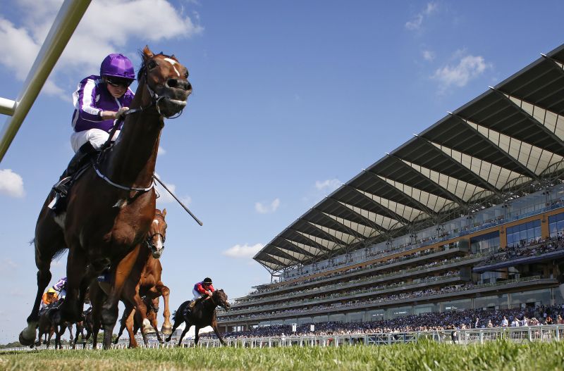 Highland Reel wins King at Ascot CNN