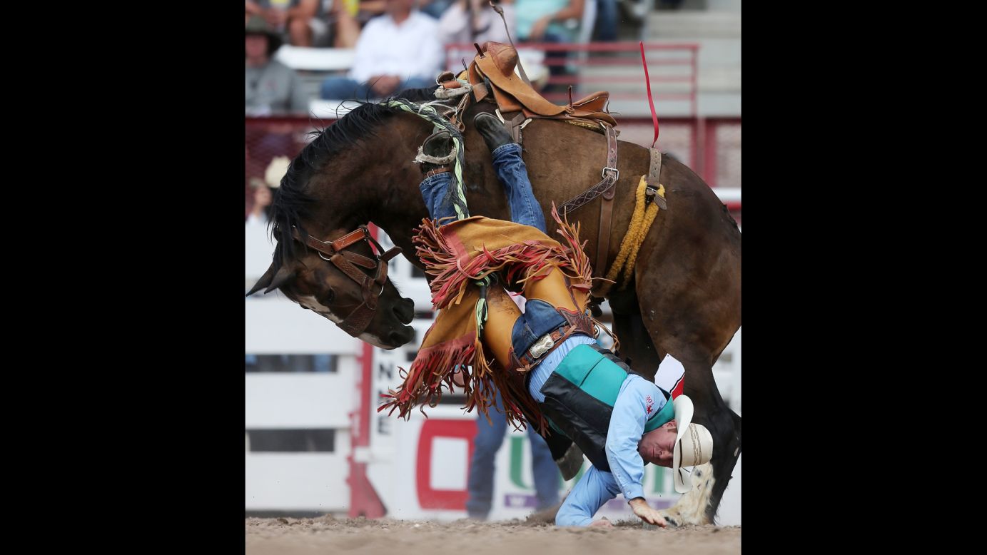 Cody Peterson falls off a bronco during a rodeo in Cheyenne, Wyoming, on Saturday, July 23.