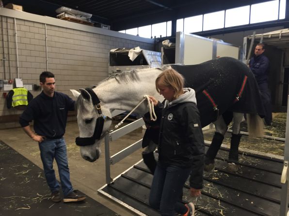 "When we landed ... they unloaded the boxes and transferred the horses to a proper stall on the ground," says Alicia Heiniger, head of the luxury lifestyle media company Equestrio. 