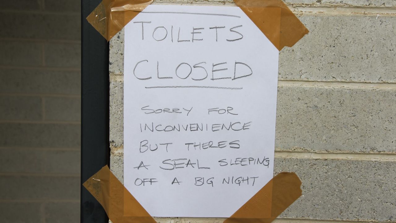 A sign put up by Devonport City Council.