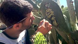 Artist Ahmad Muhammad Yasin expresses his views via his depictions on cactus plants.