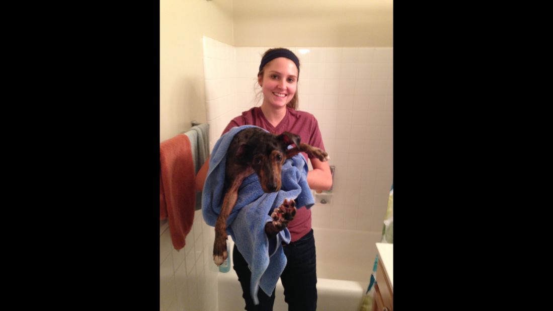This was Hester during her first year of grad school at George Washington University, giving her dog, Winston, a bath. "I'd say this is the only picture I can find where I look 'healthy,' " she said.<br />