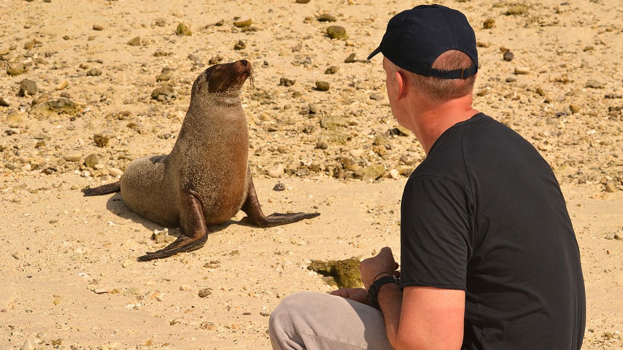 A mind-blowing destination for any animal lover, the Galapagos archipelago surrounds visitors with animals both onshore and off.