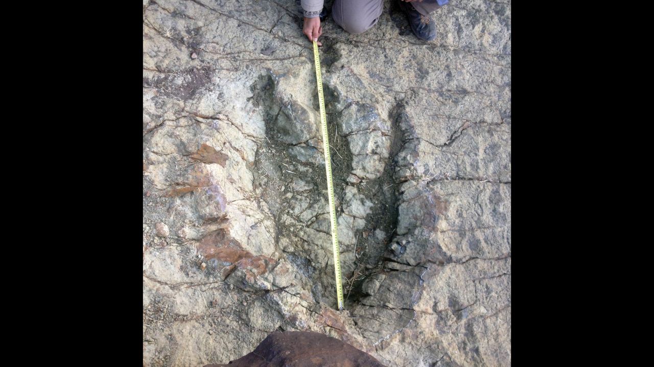 03.dinosaur footprint Bolivia Abelisaurus irpt