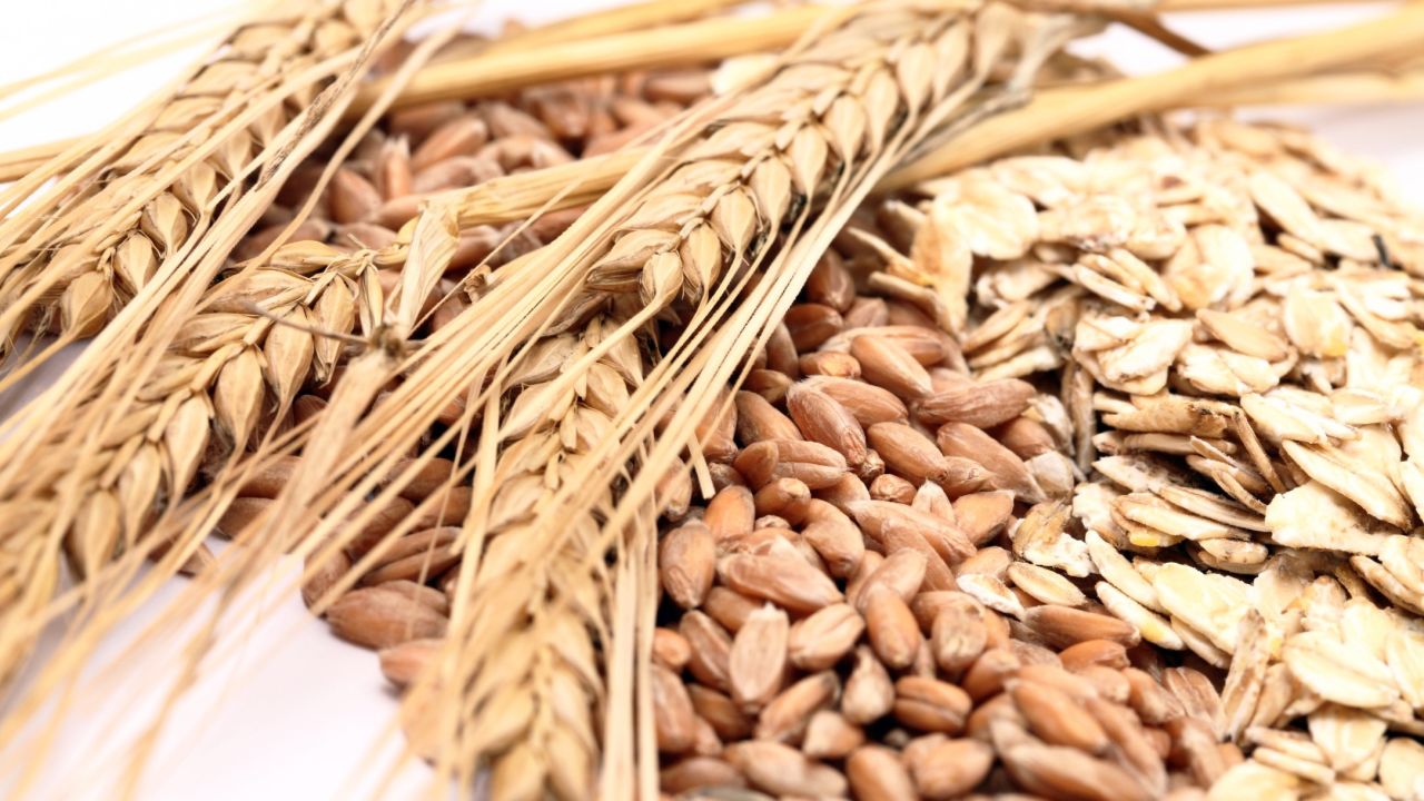 Whole grains include plant-based proteins.