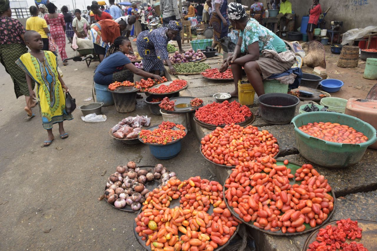 In sub-Saharan Africa, the growth in the rate of obesity among men is larger than that of undernourishment, and in Nigeria and Ethiopia diabetes is on the increase, the report shows. <br /><br />Pictured here, vendors display tomatoes and pepper at a market in Lagos, Nigeria.