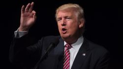 Republican presidential nominee Donald Trump speaks during a campaign event at Briar Woods High School August 2, 2016, in Ashburn, Virginia.