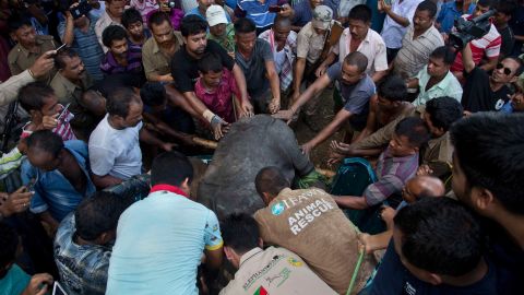 Wildlife conservationists lift a rescued baby rhino into a vehicle.