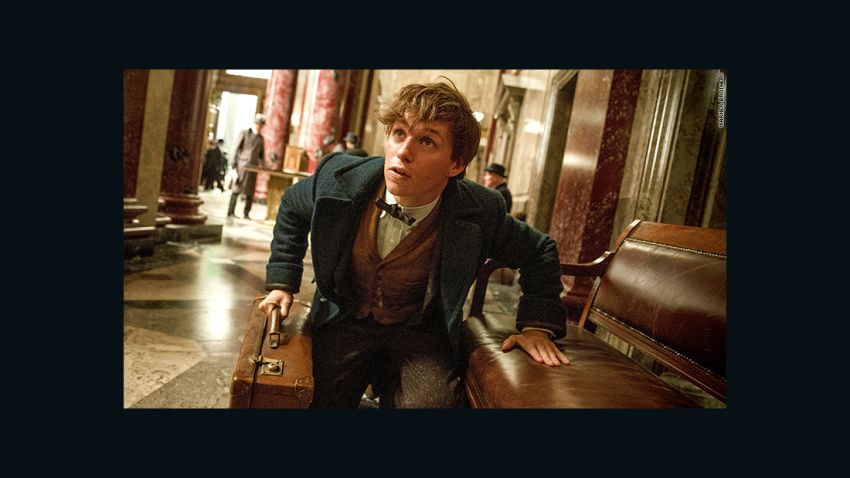 Money Harry Potter Fantastic Beasts and where to find them