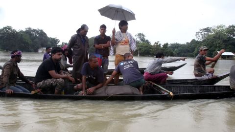 A baby rhino is brought to safety by boat.