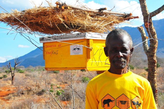 King's solution, the beehive fence, combines real and dummy beehives full of African honey bees. Triggered by a simple wire fence the hives are disturbed, swinging and releasing irate bees upon elephants.