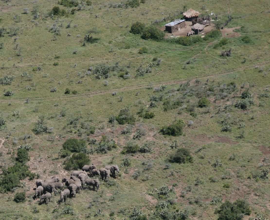Humans and elephants are living in increased proximity in some African nations.