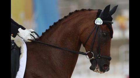 China's Tian Alex Hua, riding Don Geniro, competes in the Eventing Individual dressage event. He was 12th ahead of Monday's cross country and Tuesday's jumping.