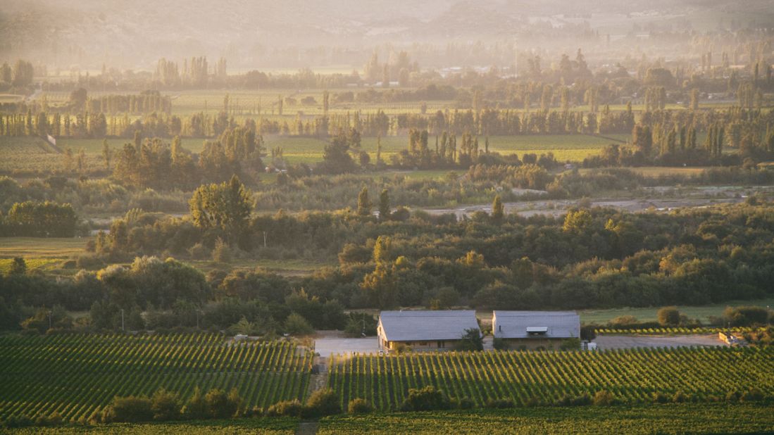 <strong>Emiliana Organic Vineyards, Valparaiso, Chile: </strong>Emiliana Organic Vineyards produces award-winning wine in an idyllic setting. Flowers and food crops grow as well as grapes, and alpacas, horses and geese roam in the fields. 