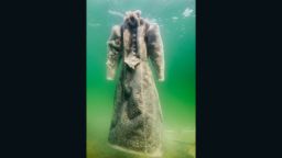 6)	Sigalit Landau, Salt Crystal Bride Gown VI, 2014, Colour Print, 163 x 109 cm, Courtesy the artist and Marlborough Contemporary, London. Photo: Studio Sigalit Landau
