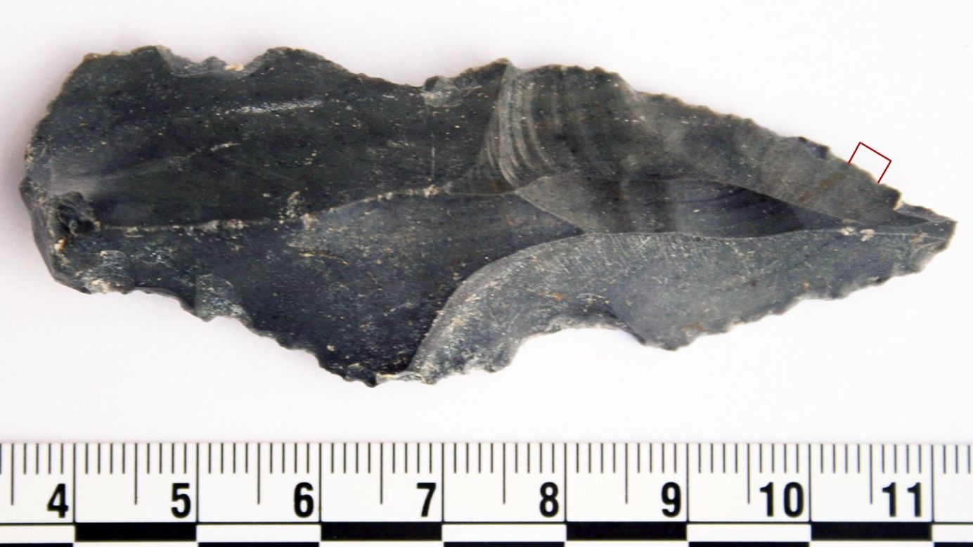 This ancient blade discovered at an oasis in Jordan tested positive for rhino residue.