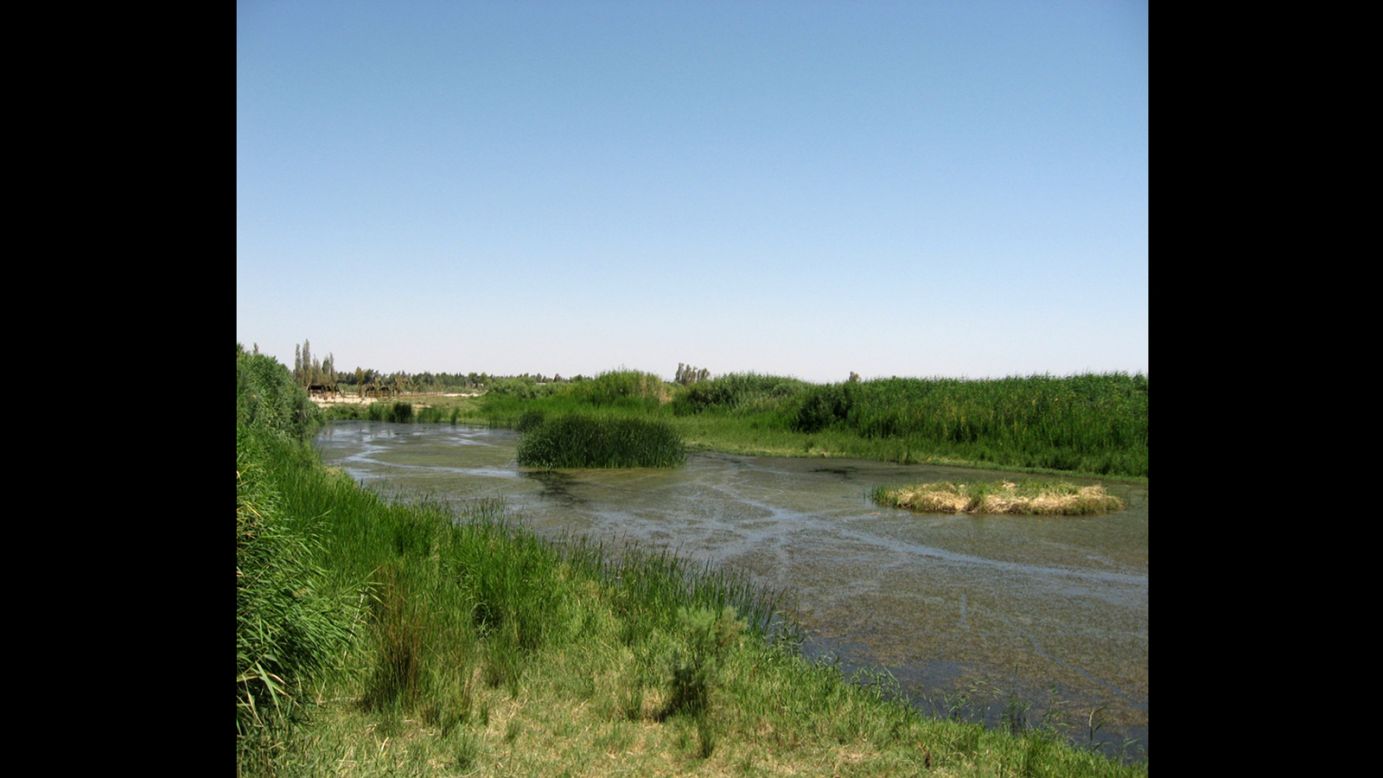 The wetlands/reserve in Jordan near Azraq have a lower water table due to development nearby, giving the archeologists access to many new finds.