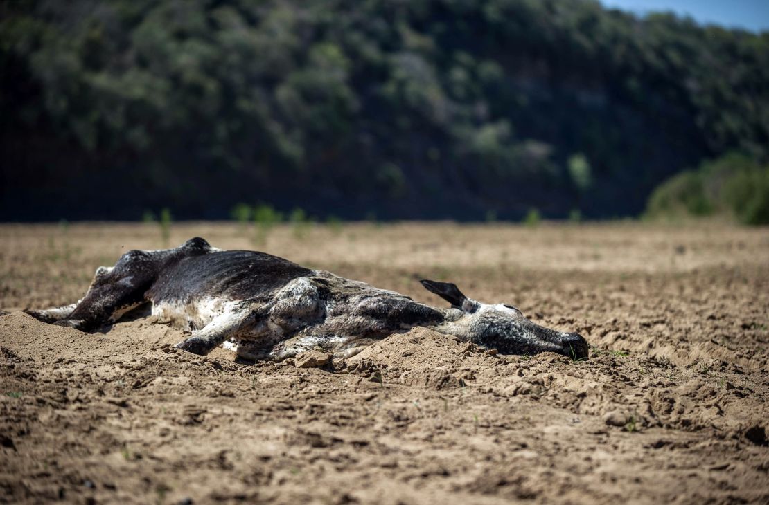 The drought in South Africa is the worst on record. 