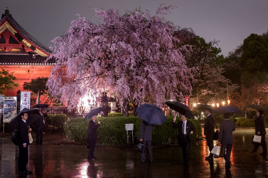 <strong>Hanami:</strong> Every spring, Japanese people will gather under sakura trees for hanami -- a traditional spring party in Japan to enjoy picnics and cherry blossom viewing. Ueno Park is a popular hanami spot for Tokyoites.