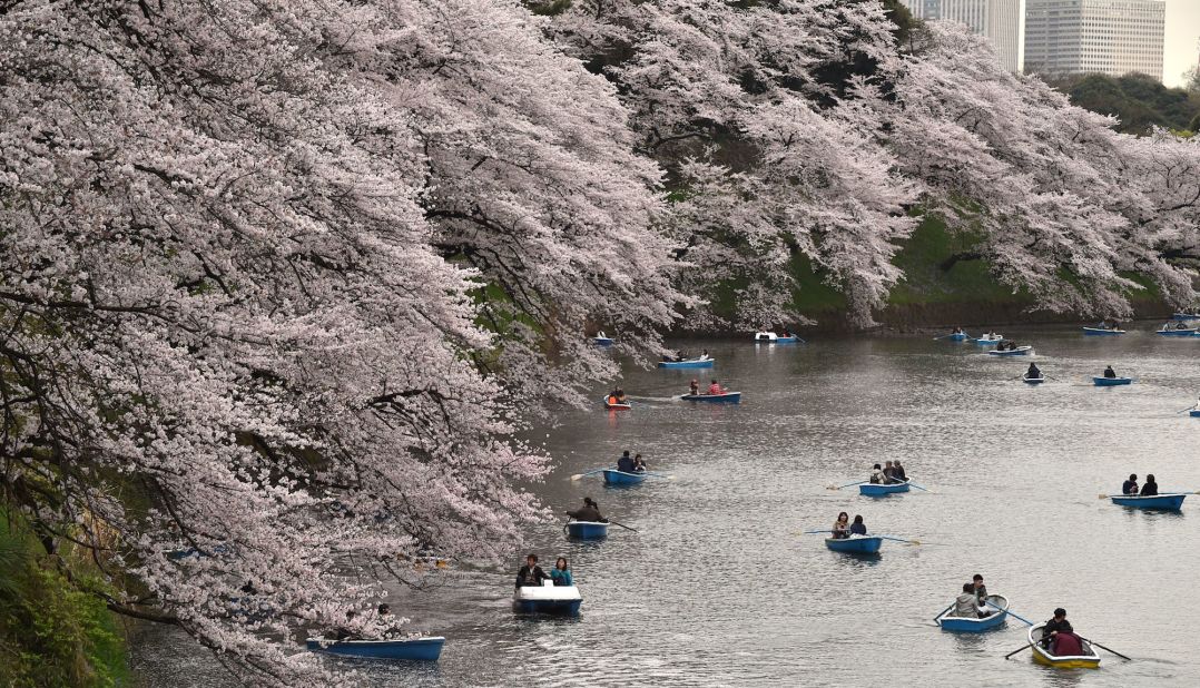 <strong>Edo Castle: </strong>The palace also incorporates Edo Castle. Founded back in 1457, this historic site was the seat of political power during the Edo era.