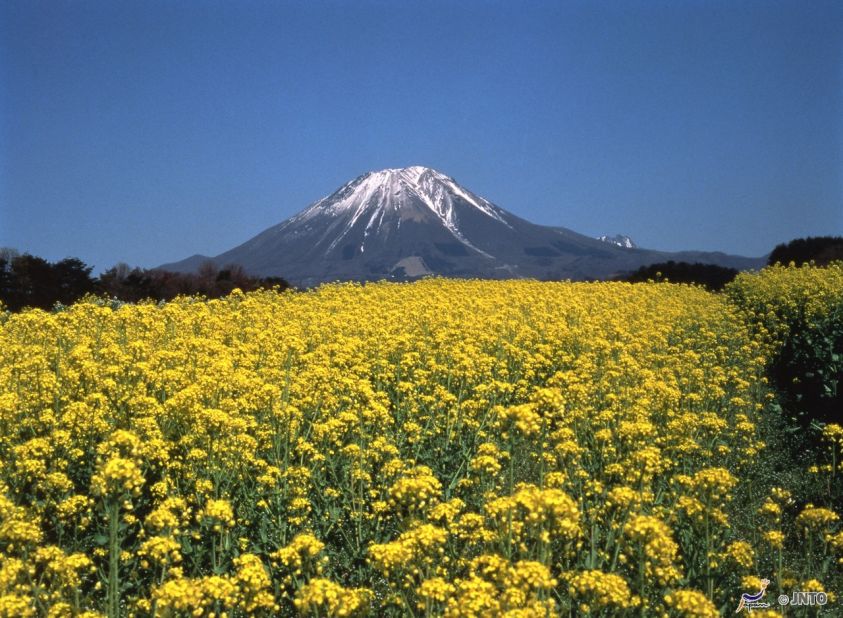 Known as Japan's second Mount Fuji for its resemblance to the icon, Mount Daisen is the highest peak in the Chugoku region, standing 1,709 meters tall. 
