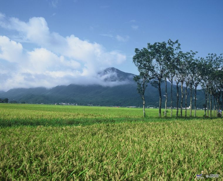 Steep mountains dominate Niigata, which faces the Sea of Japan, the waters between the Japanese archipelago, Sakhalin and the Asian mainland. 