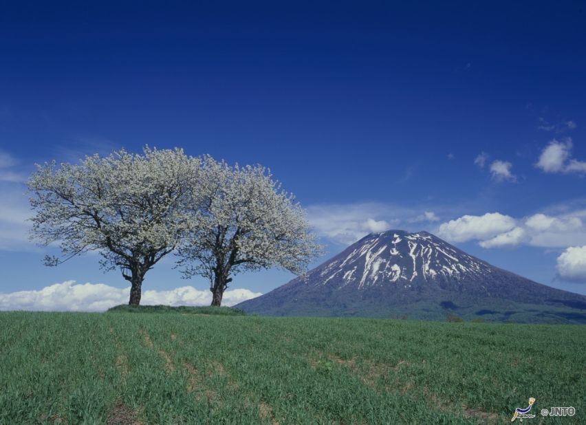 Sometimes known as the Mount Fuji of Hokkaido, Mount Yotei attracts both climbers and adventurous skiers looking for pristine snow.