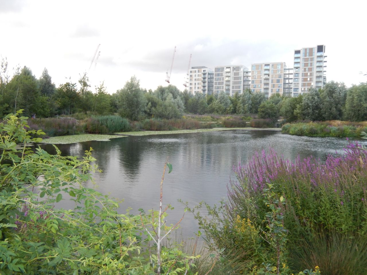Queen Elizabeth Olympic Park also includes a wetland bird sanctuary and nature trail. 