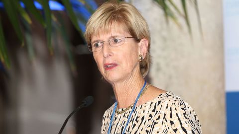 Christine Todd Whitman attends Making Strides: Advancing Women's Leadership - Opening Reception at Vizcaya Museum & Gardens on November 17, 2015 in Miami, Florida.
