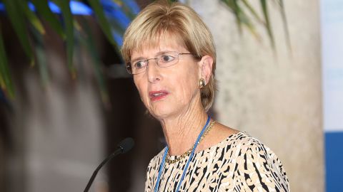 Christine Todd Whitman attends Making Strides: Advancing Women's Leadership - Opening Reception at Vizcaya Museum & Gardens on November 17, 2015 in Miami, Florida.