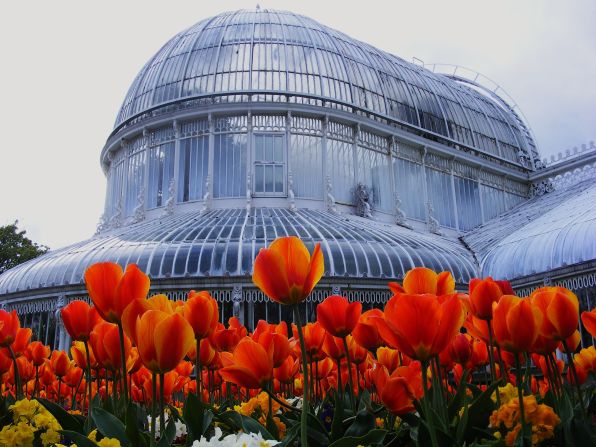 Designed by architect Charles Lanyon and built by ironworker Richard Turner (who would go on to build the Palm House at London's Kew Gardens), it is one of the earliest examples of curvilinear cast iron glasshouses in the world. 