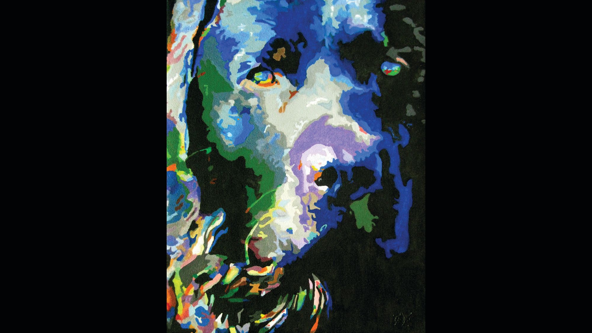 what does it mean dog abstract color
