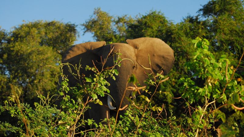 Zambezi River Photos CNN   160811165930 Zambezi Kayaking Zambezi Sands17 