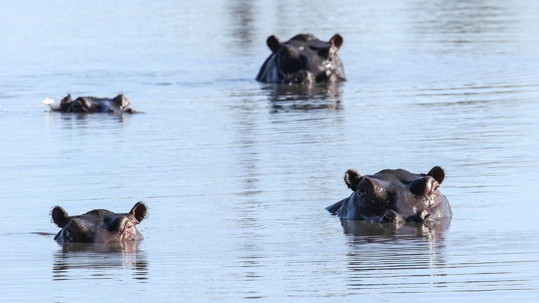The Zambezi, crawling along the border of Zimbabwe, is the fourth longest river in Africa. It's home to hungry crocodiles and big herds of hippos -- one of Africa's deadliest animals.
