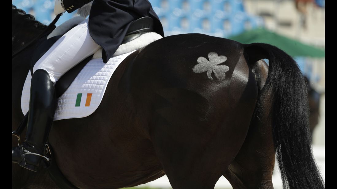 A shamrock is shaved into the hair of Vancouver K, ridden by Ireland's Judy Reynolds, as they compete in the individual dressage competition.