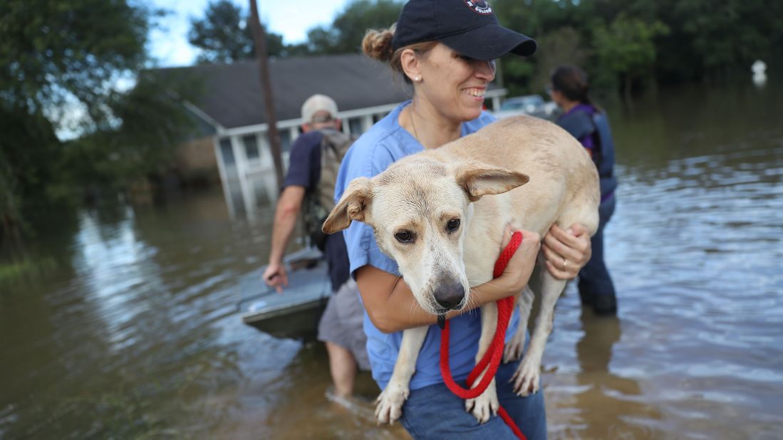 Ann Chapman, from the Louisiana State Animal Response Team, carries a dog she helped rescue in Baton Rouge on August 15.